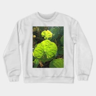 Nasturtium Crewneck Sweatshirt